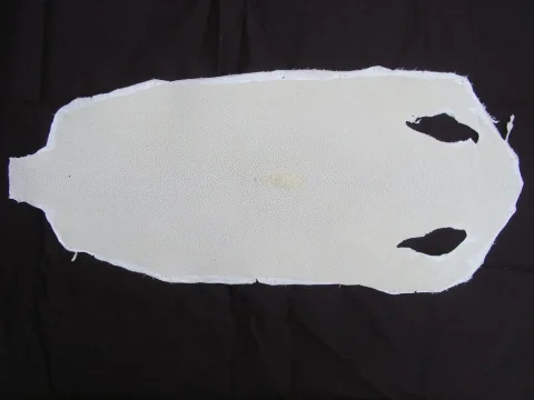 Rejnočí kůže bílá 180 × 350 mm
