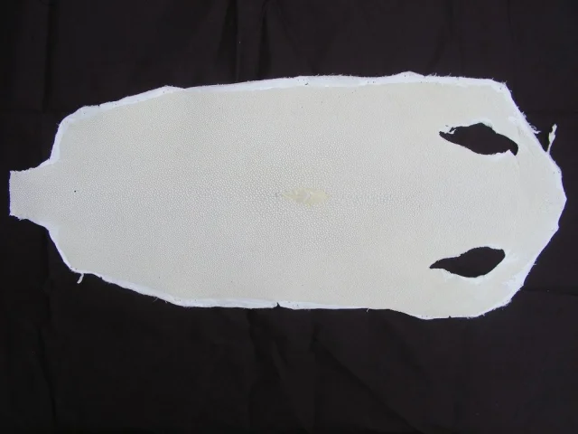 Rejnočí kůže bílá 180 × 350 mm