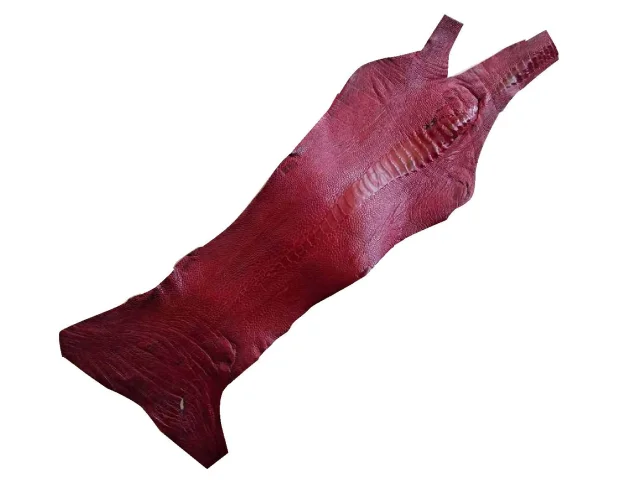 Pštrosí kůže – červená – 100-200 × 600 mm