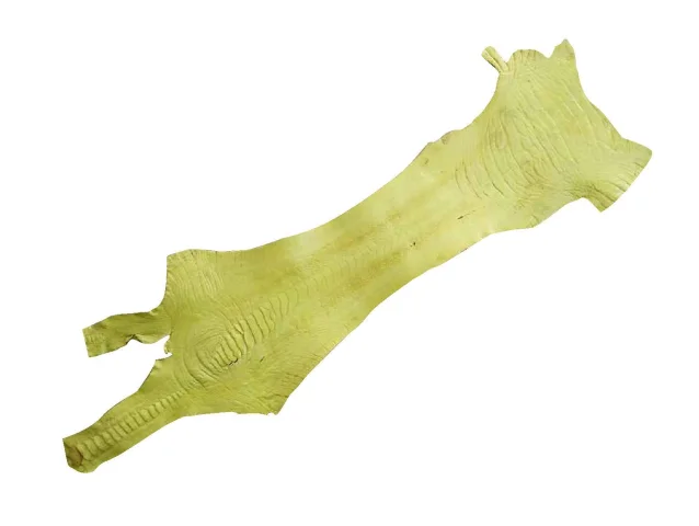 Pštrosí kůže – žlutá – 120-200 × 550 mm